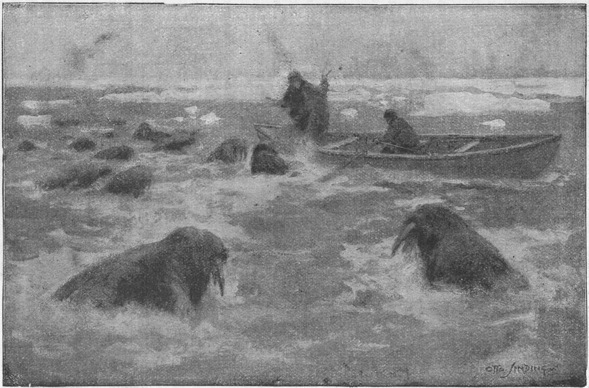 Охота на моржей около Таймырского полуострова. Рисунок Отто Синдинга