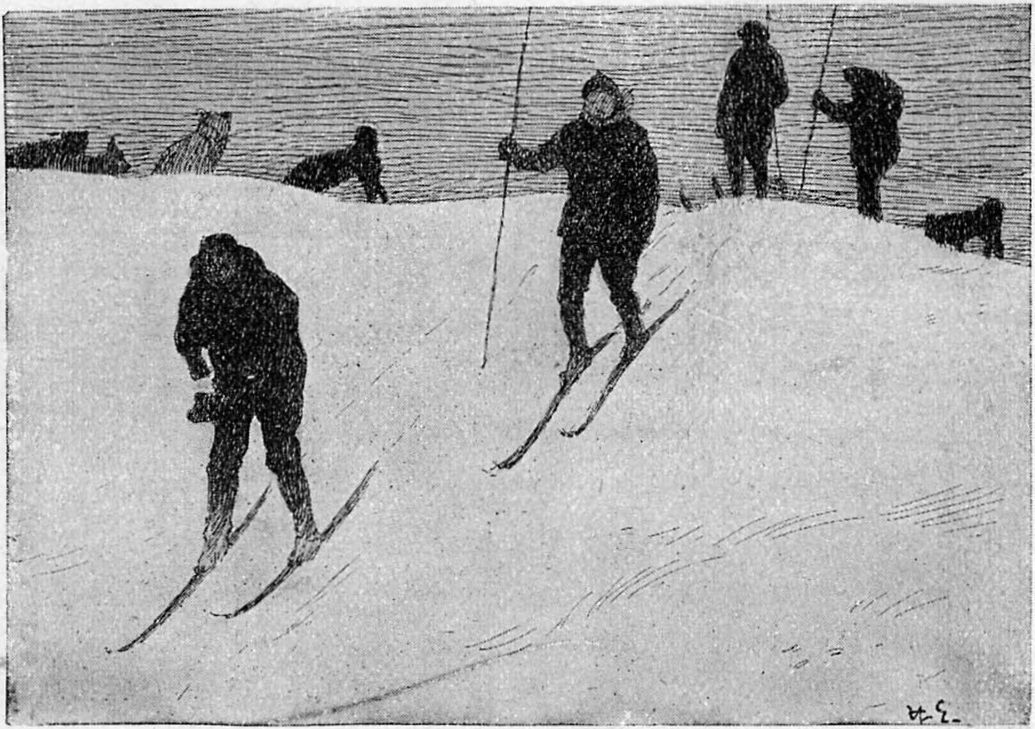Упражнение в беге на лыжах. Рис. Г. Эгедиуса с фотографии