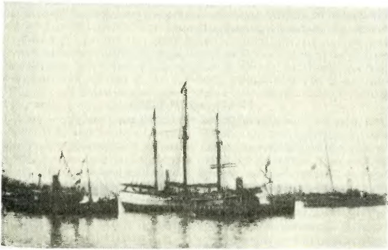 «Фрам» буксируют к столице по Кристиания-фьорду. 28 сентября 1902 г.