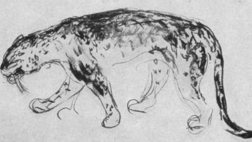 Пантера. 1911