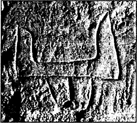 Рис. 13. Двузубец на стене пещерного комплекса Басараби