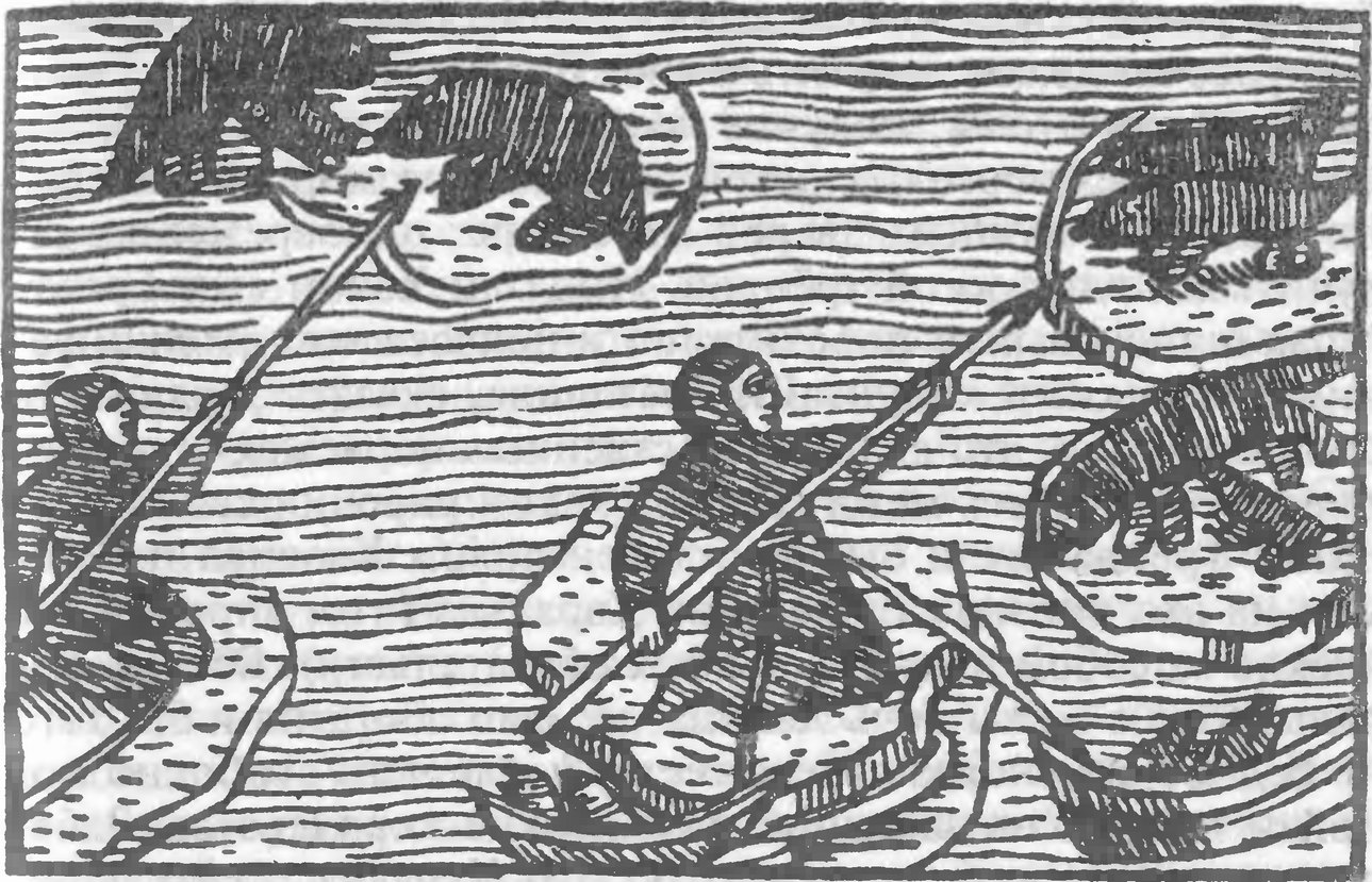Рис. 12. Охота на тюленей (Олаус Магнус)